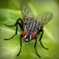 /album/grammar/photolia-a01-jpg/