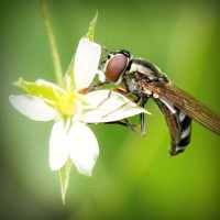 /album/grammar/photolia-a02-jpg/