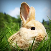 /album/grammar/photolia-a03-jpg/