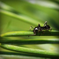 /album/grammar/photolia-a05-jpg/