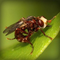 /album/grammar/photolia-a06-jpg/