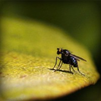 /album/grammar/photolia-a07-jpg/