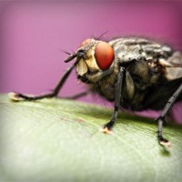 /album/grammar/photolia-a08-jpg/